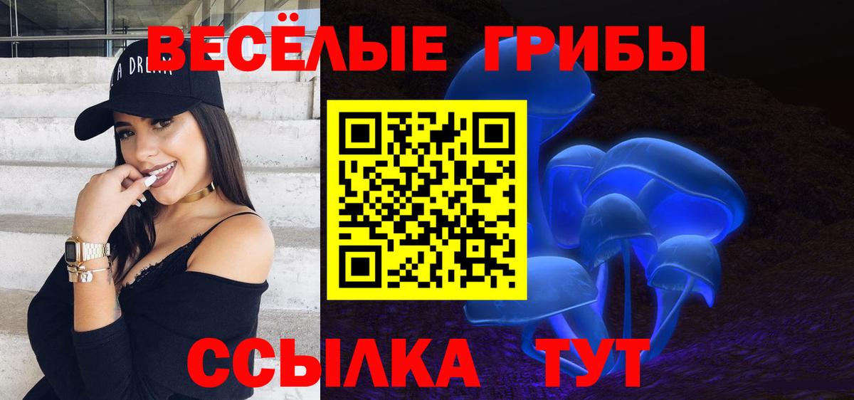 Галлюциногенные грибы мицелий  Вход с VPN  Сургут 